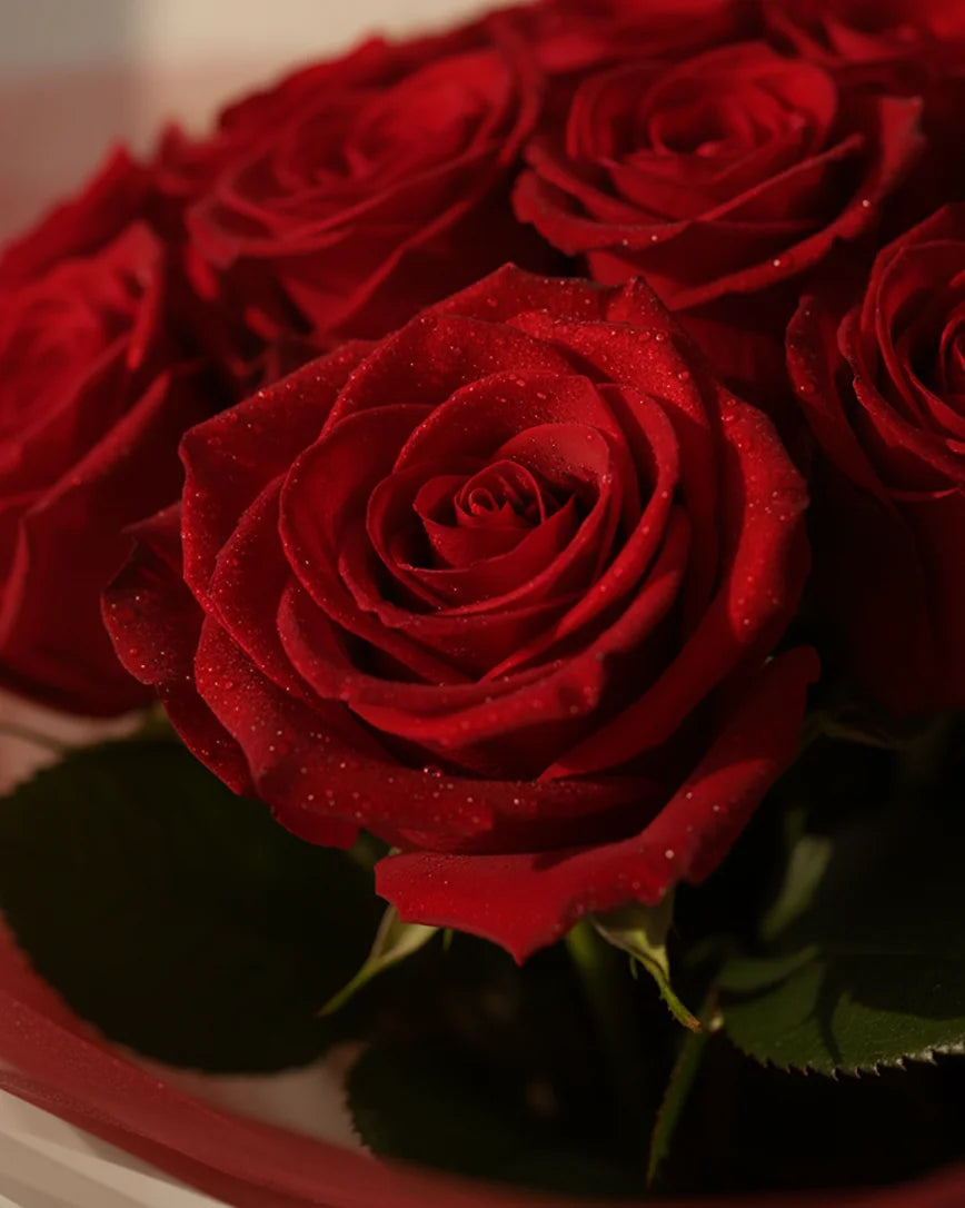Eternité Rouge detail — luxury flowers Dubai | Miss Florenski