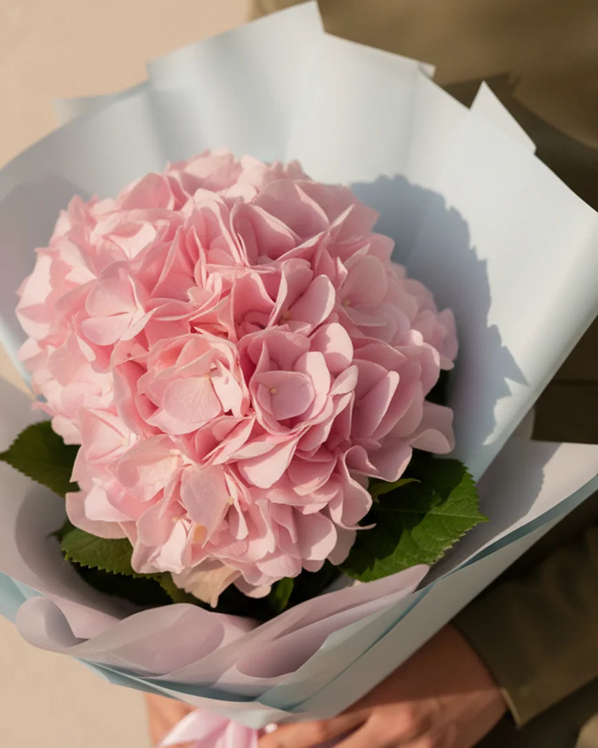 Hortensia Aurélie detail — luxury flowers Dubai | Miss Florenski