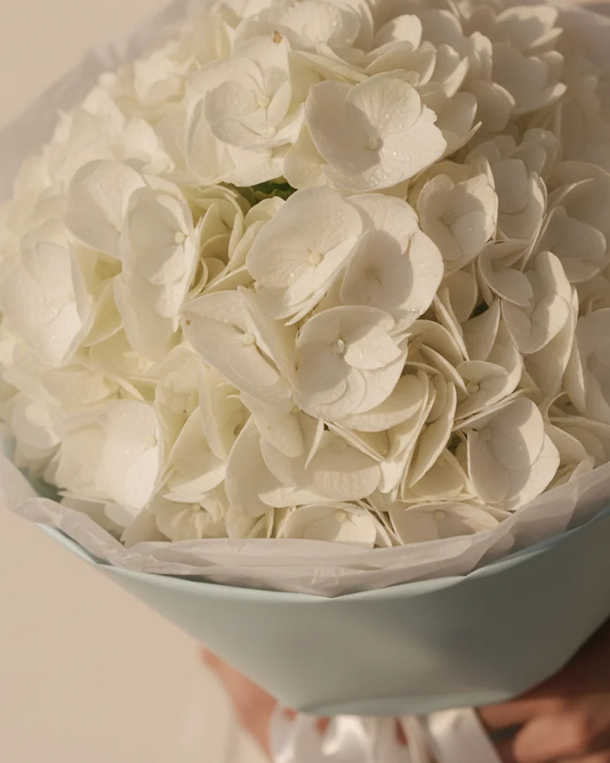 Hortensia Céline detail — luxury flowers Dubai | Miss Florenski