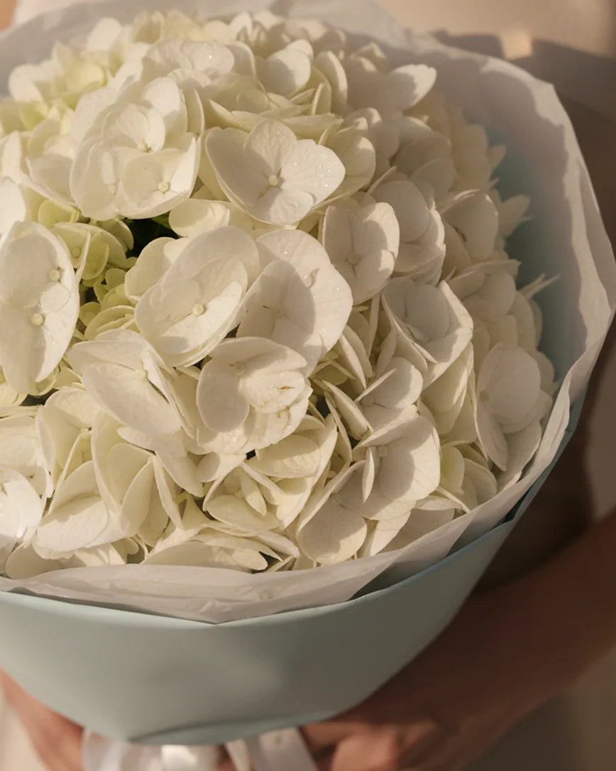 Hortensia Céline detail — luxury flowers Dubai | Miss Florenski