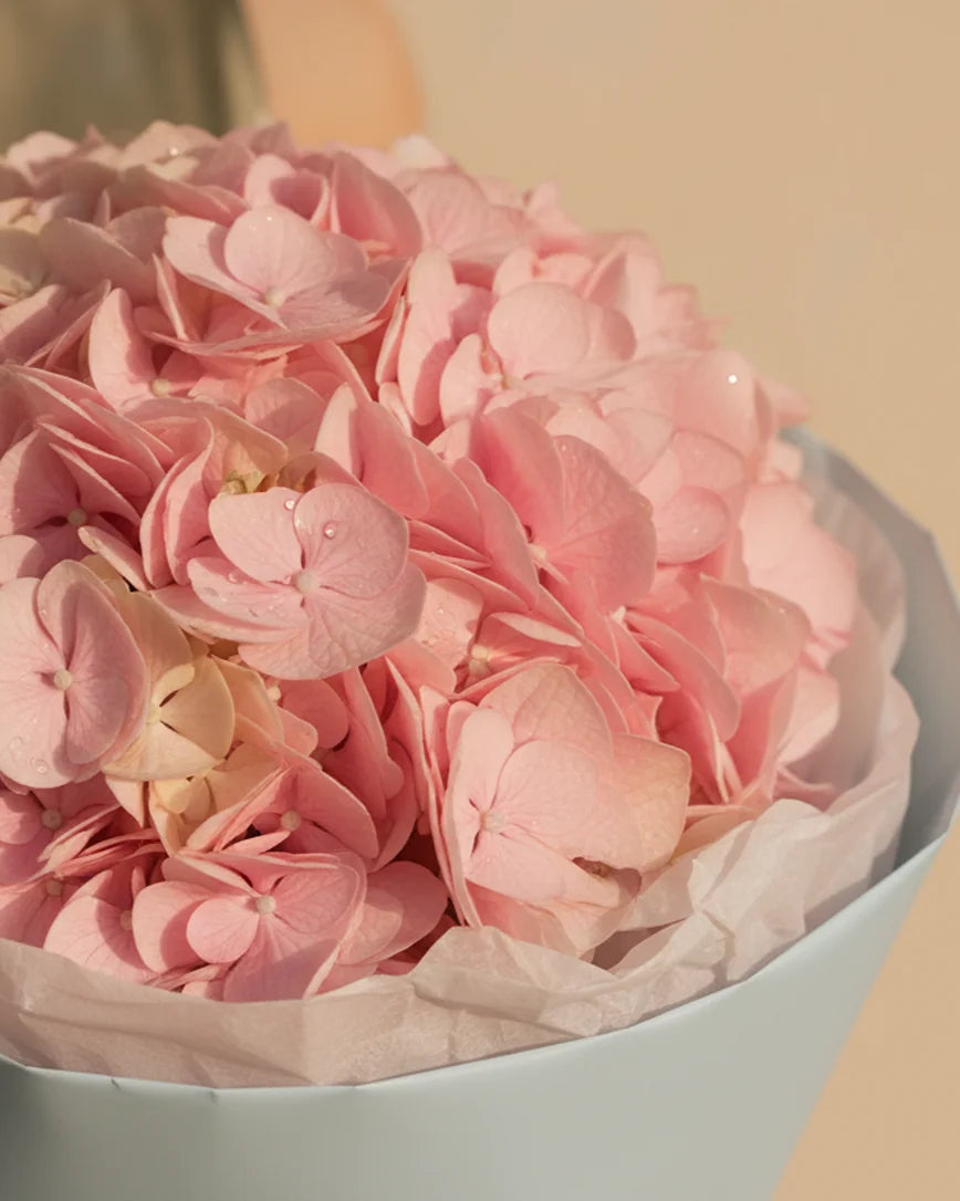 Hortensia Chloé detail — luxury flowers Dubai | Miss Florenski