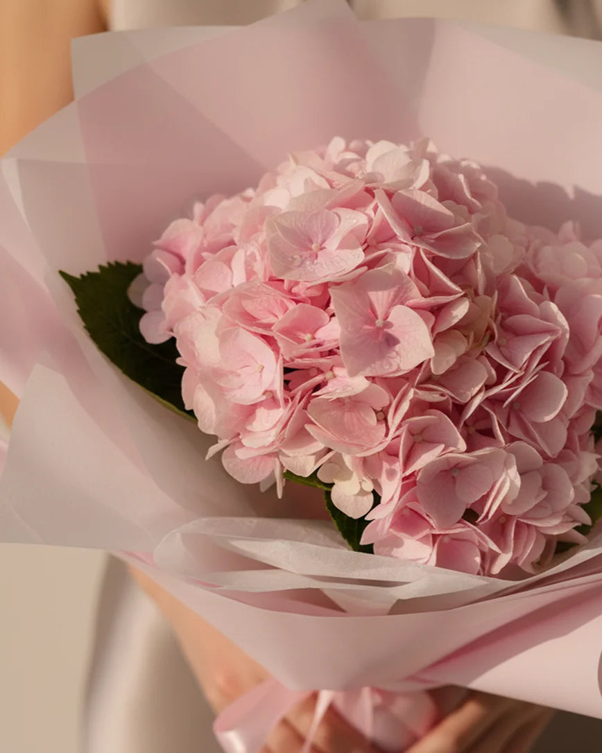 Hortensia Éléa detail — luxury flowers Dubai | Miss Florenski