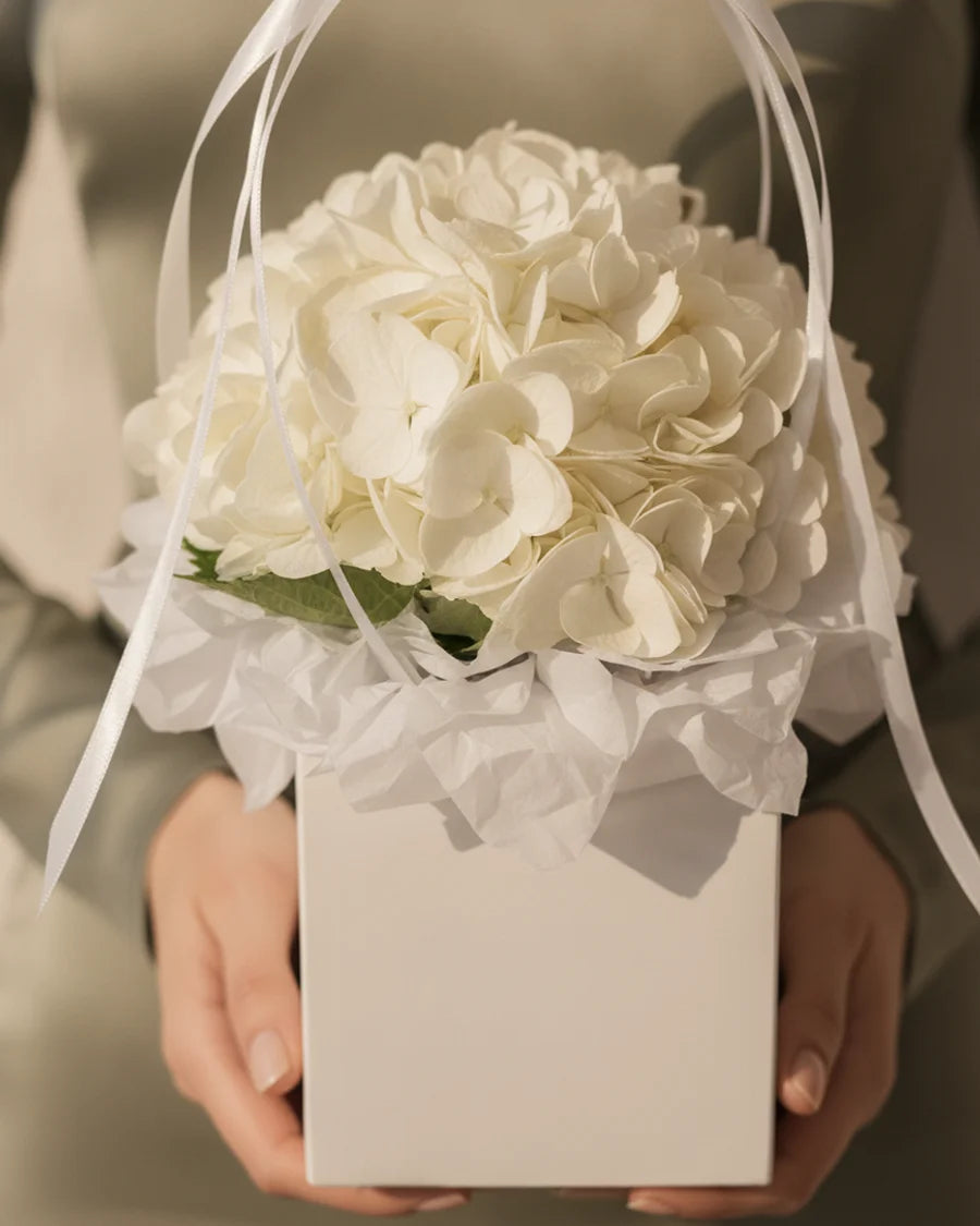 Nuage Blanc - Miss Florenski Dubai