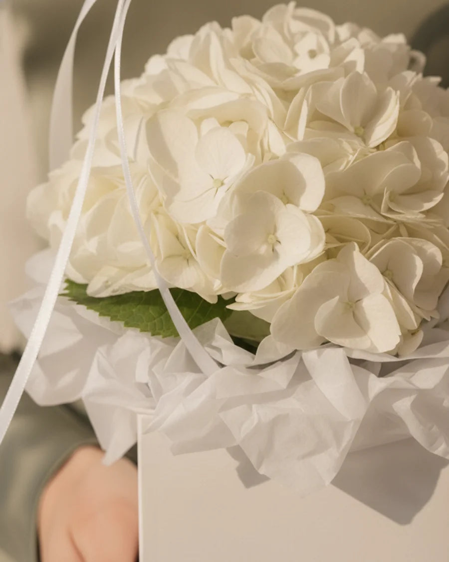 Nuage Blanc - Miss Florenski Dubai
